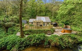 Birch Studio